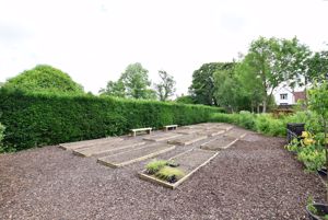 Allotments- click for photo gallery